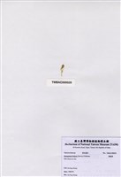 藏品(香蕉菜)的圖片